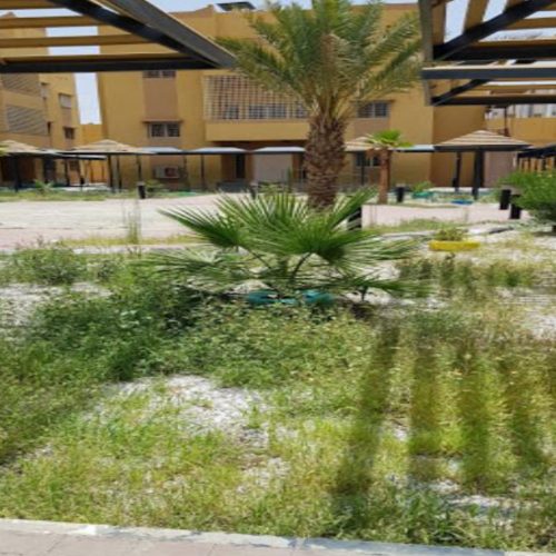 4.1. The House of Social Eduction at Asir - Photos _page-0001